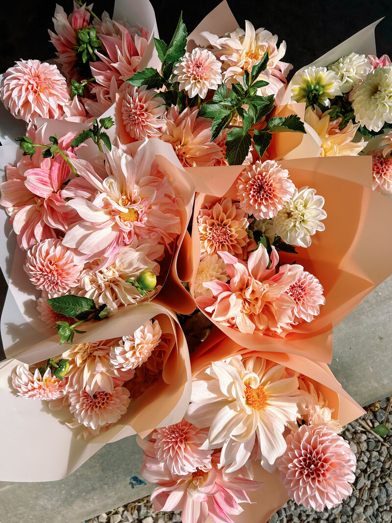 Photo Oct 13 2023, 2 23 02 PM