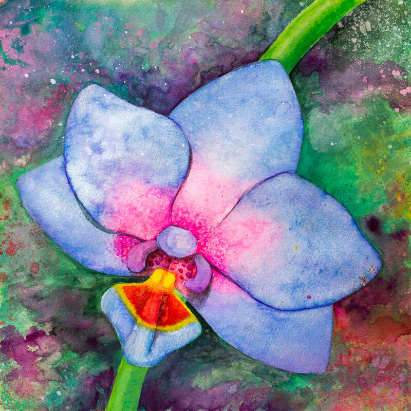 orchids_web-14