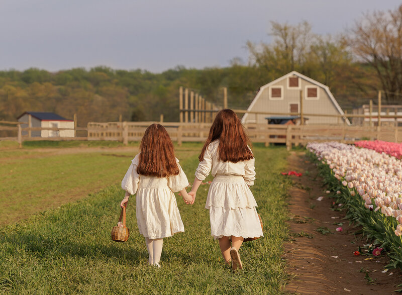 Brooklyn outdoor family photoshoot. Two little sisters wearing cream dresses are walking hand-in-hand at a tulip farm. Image of their backs as they walk away. Captured by best Brooklyn, NY family photographer Chaya Bornstein.