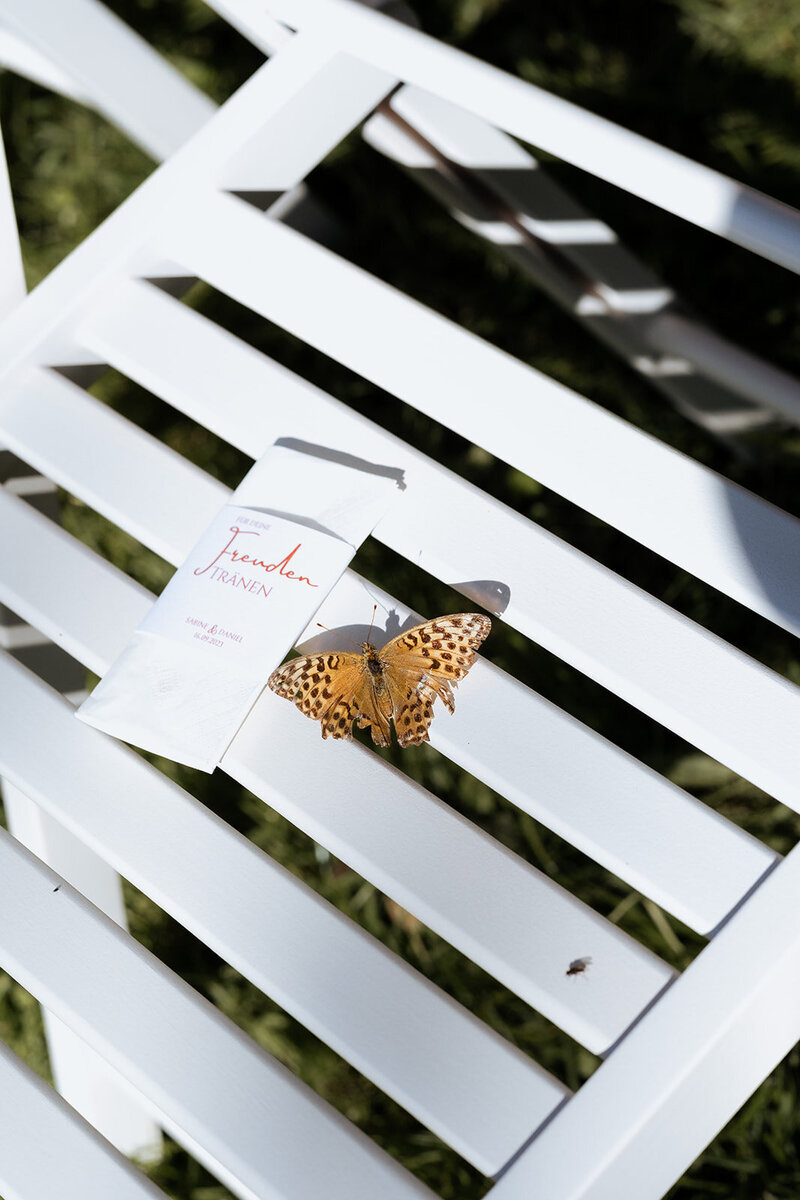 Schmetterling während der freien Trauung perfekt eingefangen vom Hochzeitsfotografen