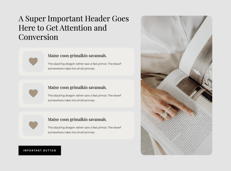 Information layout for Showit designers