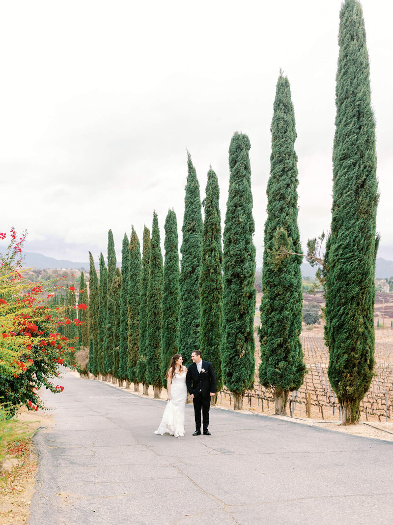 bride and groom sunset portrait with tall pine trees at callaway winery in temecula