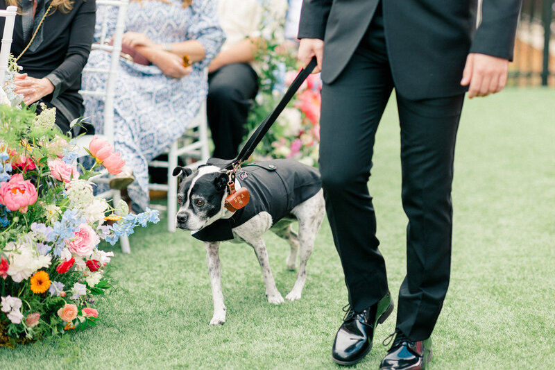 Snowmass-Wedding-Photographer-23
