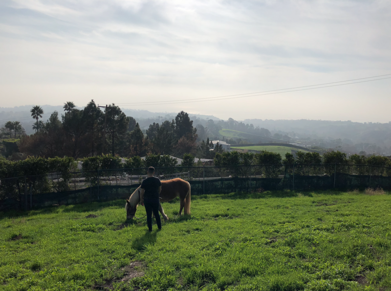 Image of Rae and a palomino horse in a green field in the mountains overlooking the ocean in Malibu.