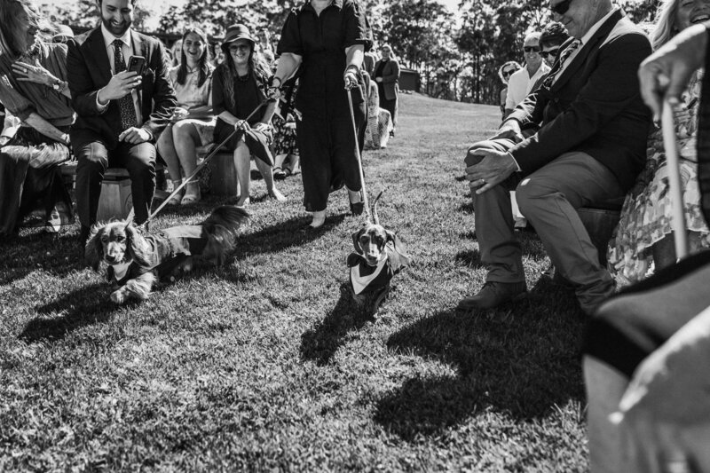 L&S_Wedding_little_glimpses-1394