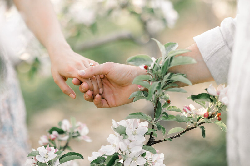 Terri-Lynn Warren Photography - Halifax Engagement Wedding Photographer Apple Blossoms-4094