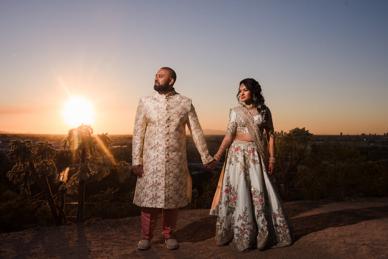 Wedding-MeeraandSagar-267+WedPreview