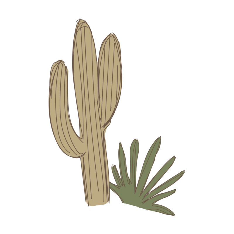 cactus+grass