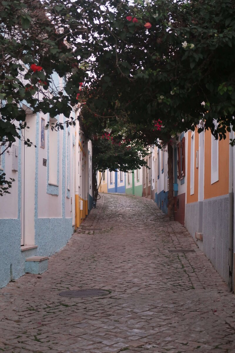 Photo of walls of shop in Vila do Bispo