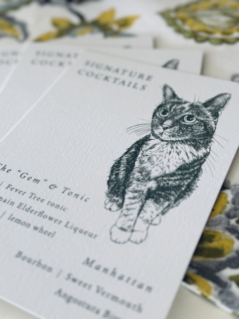 pet portrait cat