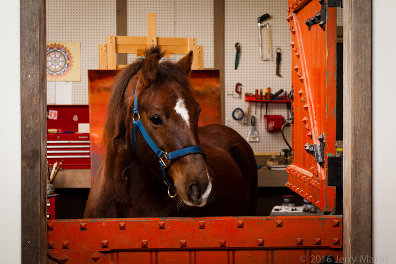 Horse Justice in Jane Mishkind's Studio