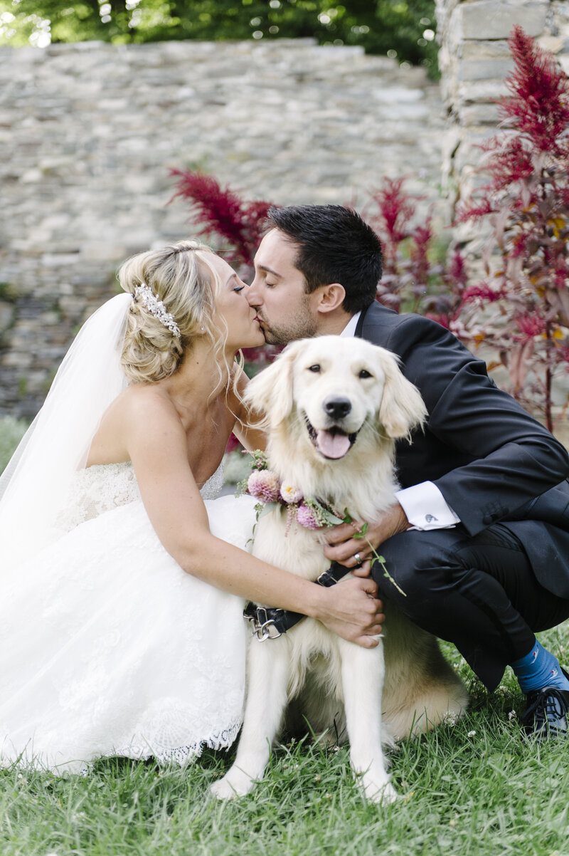 bride and groom kiss while embracing dog wearing flower collar