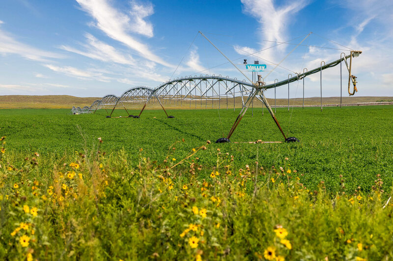 Pivot at Silver Spur farms
