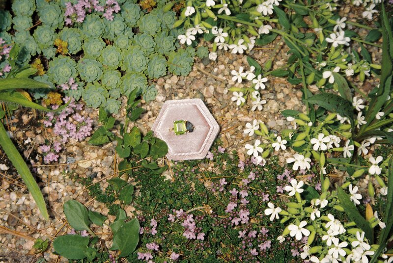 Romantic-DC-Rose-Gardens-Engagement-Photos-on-Vintage-35mm-Film-2