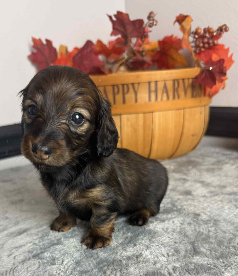 348770af-27ad-4e04-a7bc-d0f76d65abe3