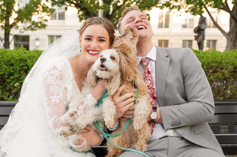 Bride and Groom with dogs at the Utah State Capitol for wedding