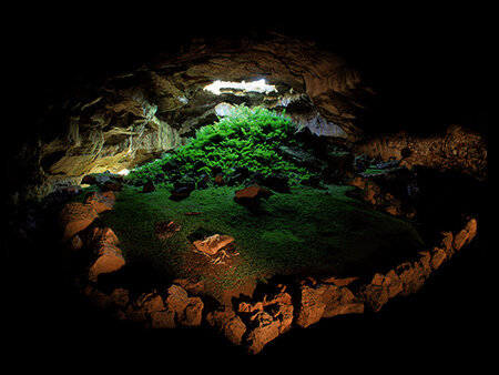 Fern Cave, Lava Beds National Monument - Light painted image Copyright Lorran Meares