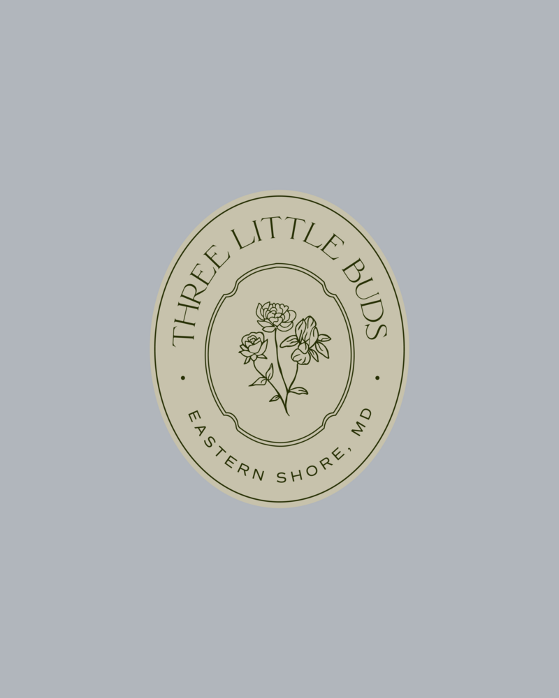 tlb launch graphics-22