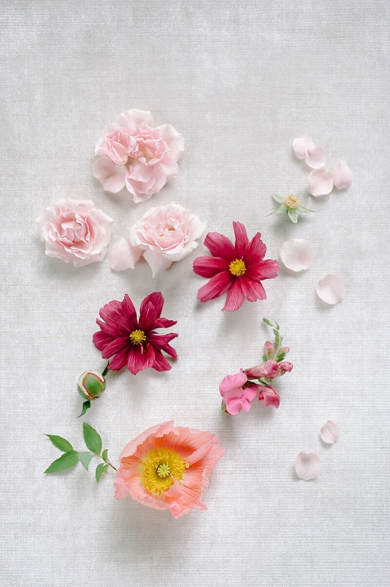 Sera Petras Photography_Anna+Josh_w-1211