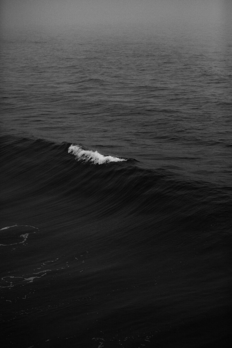 nathan-dumlao-ciO5L8pin8A-unsplash