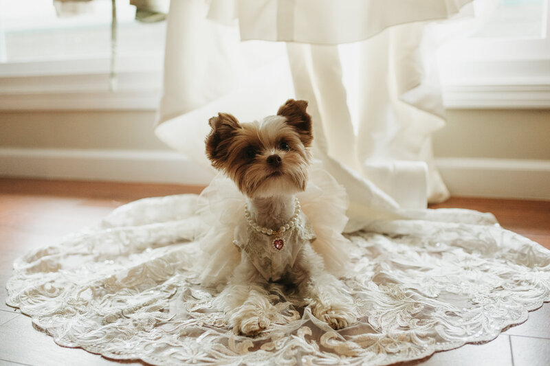 sunshine-coast-bc-wedding-photographer-chelsea-brown-photography-3