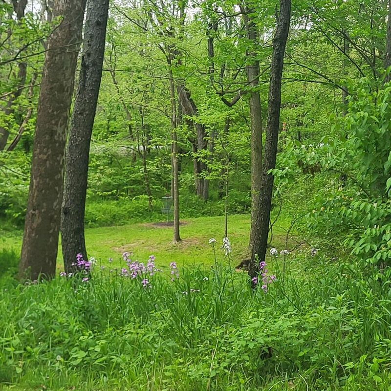 Golf course area in Montgomery Creek Ranch