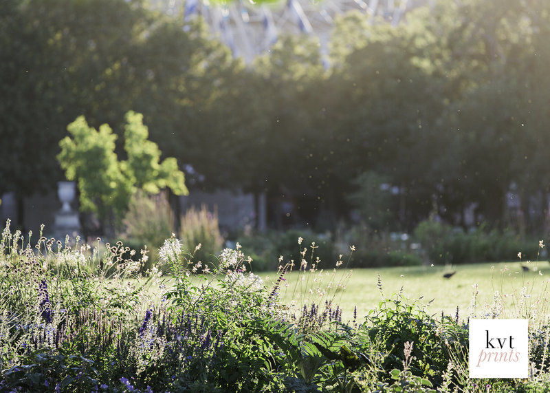 dawninthetuileries-etsy