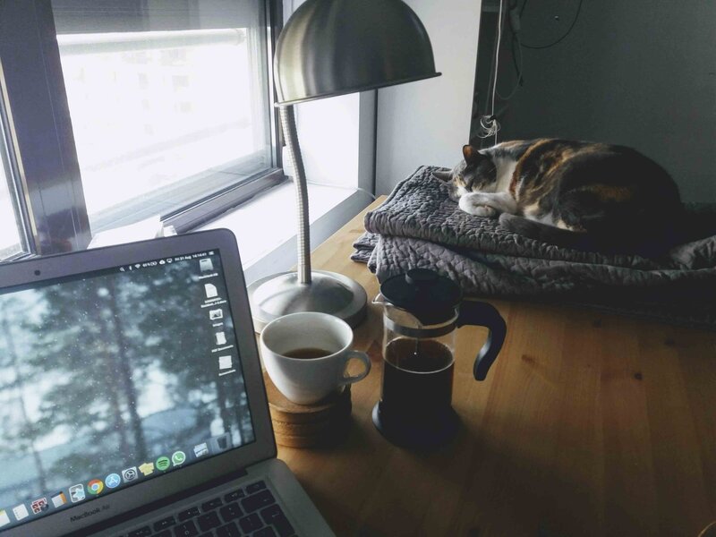 A cloudy, low-lit window is visible in the background, with a wooden desk in the foreground. Several items are visible on the desk, including a calico cat on a quilted blanket, a French press and cup of coffee, an unlit lamp, and an open laptop.