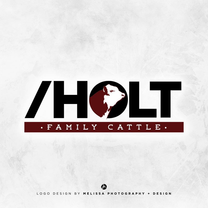 holt-logo