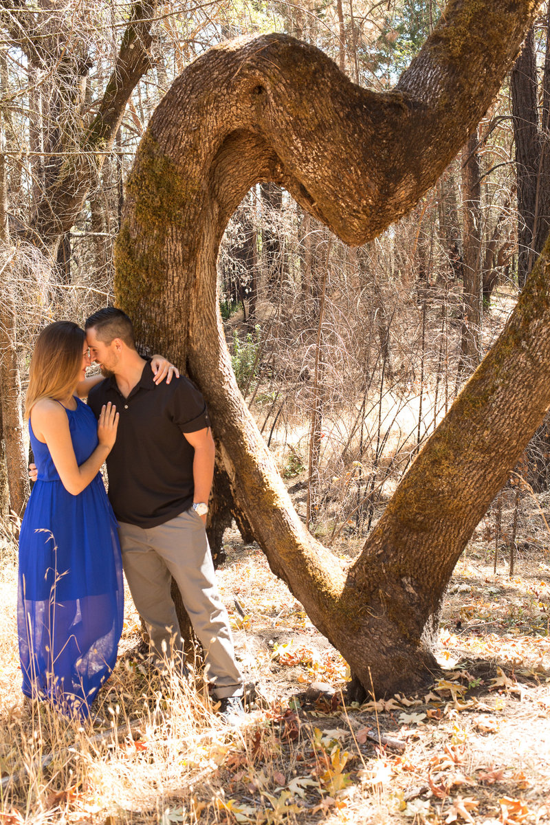 bride and groom by tree that formed a heart