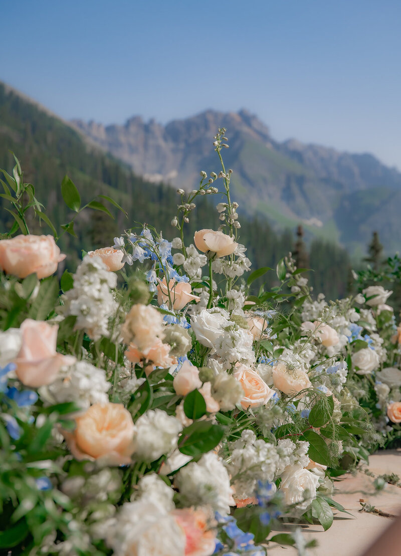 Flowers in the mountains Portland OR