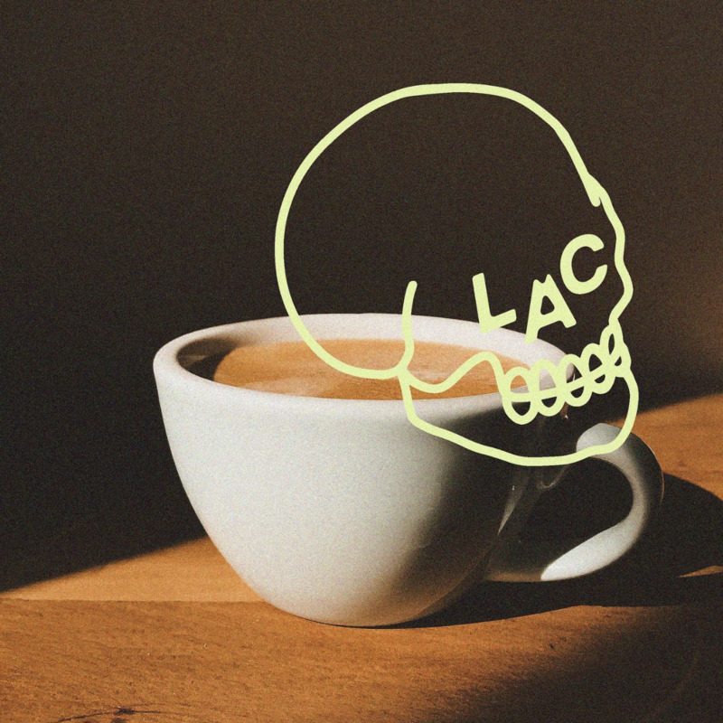 Look Alive Coffee Identity, Illustrations, Package Design, Web Design, and Custom Mural by Kelly Packard in St. Pete, Florida