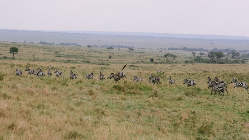 safariedited-382-Edit