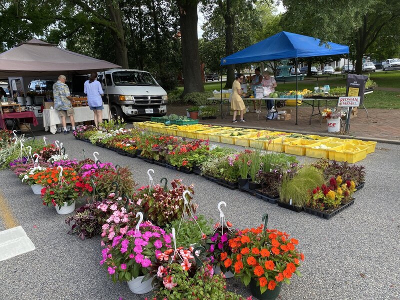 A flower vendor offers a selection of bright, fresh flowers at the Chestertown Farmers Market, enhancing the market's charm.
