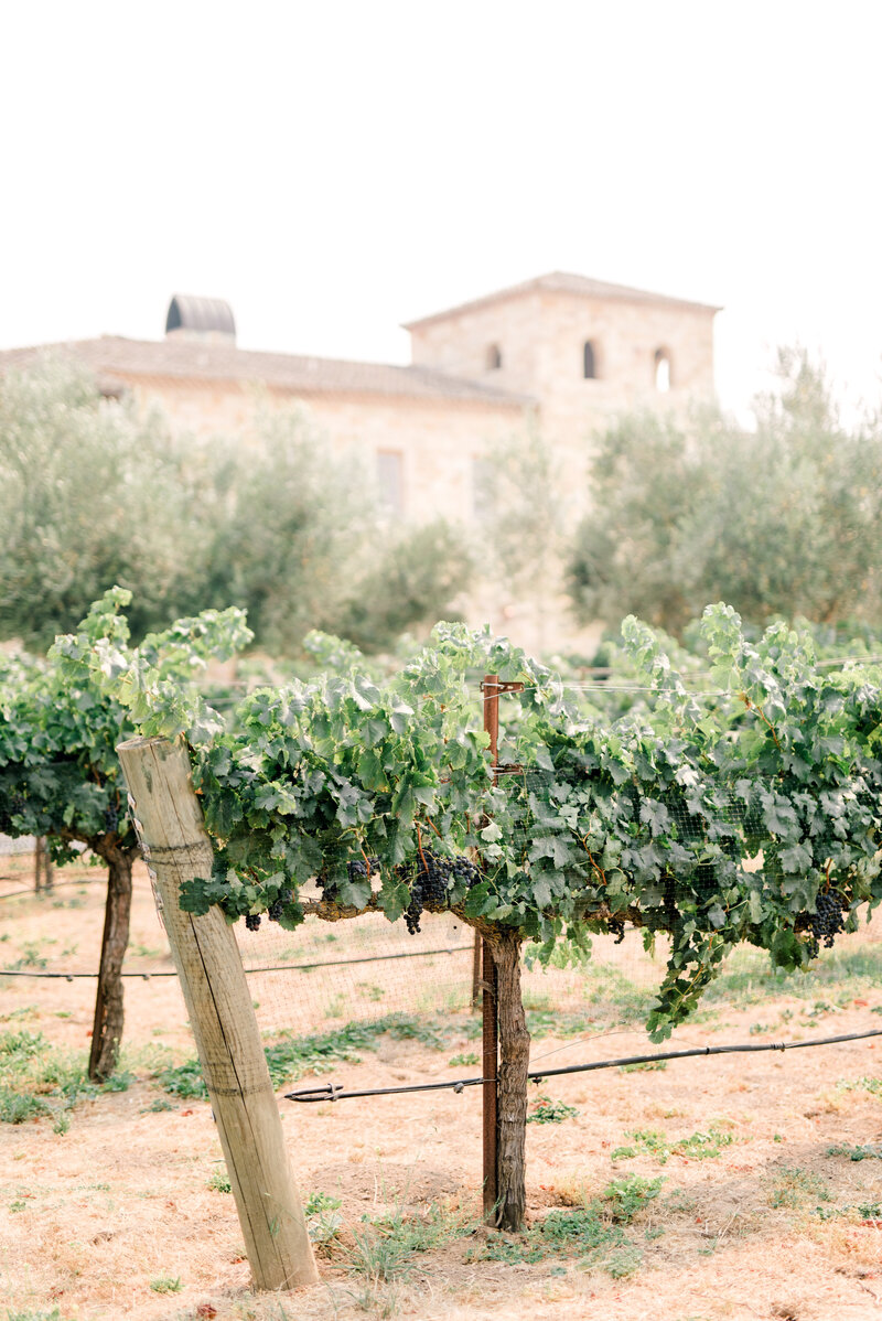 Sunstone-KristinLeannePhotography-153