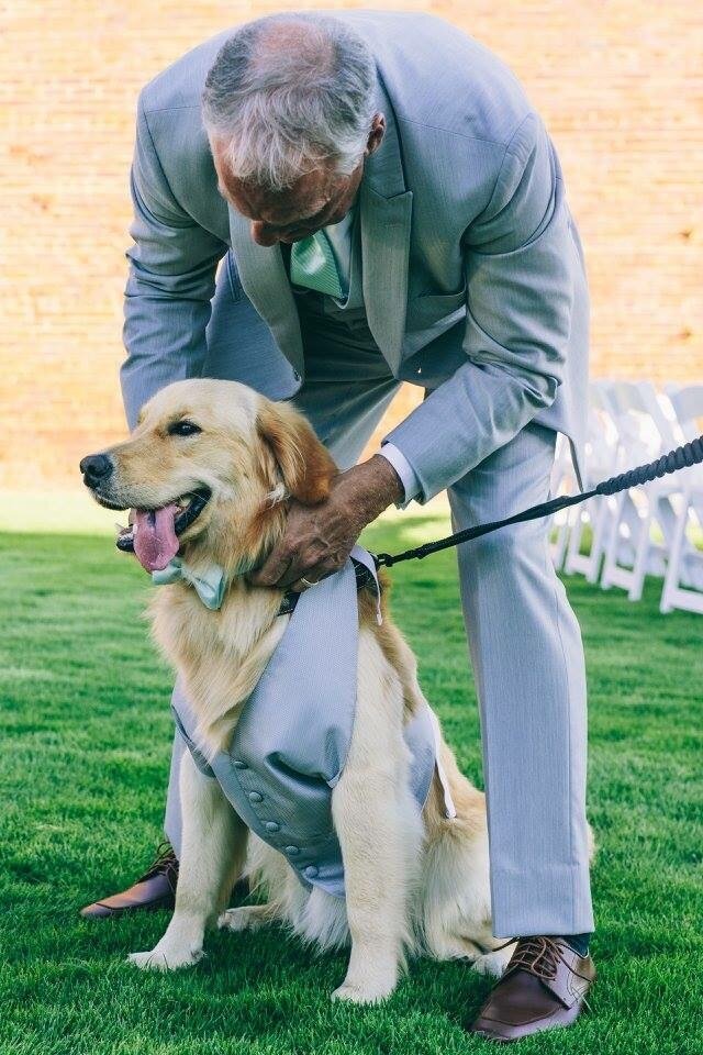 Dog 7 Palafox Wharf Waterfront Weddings Events