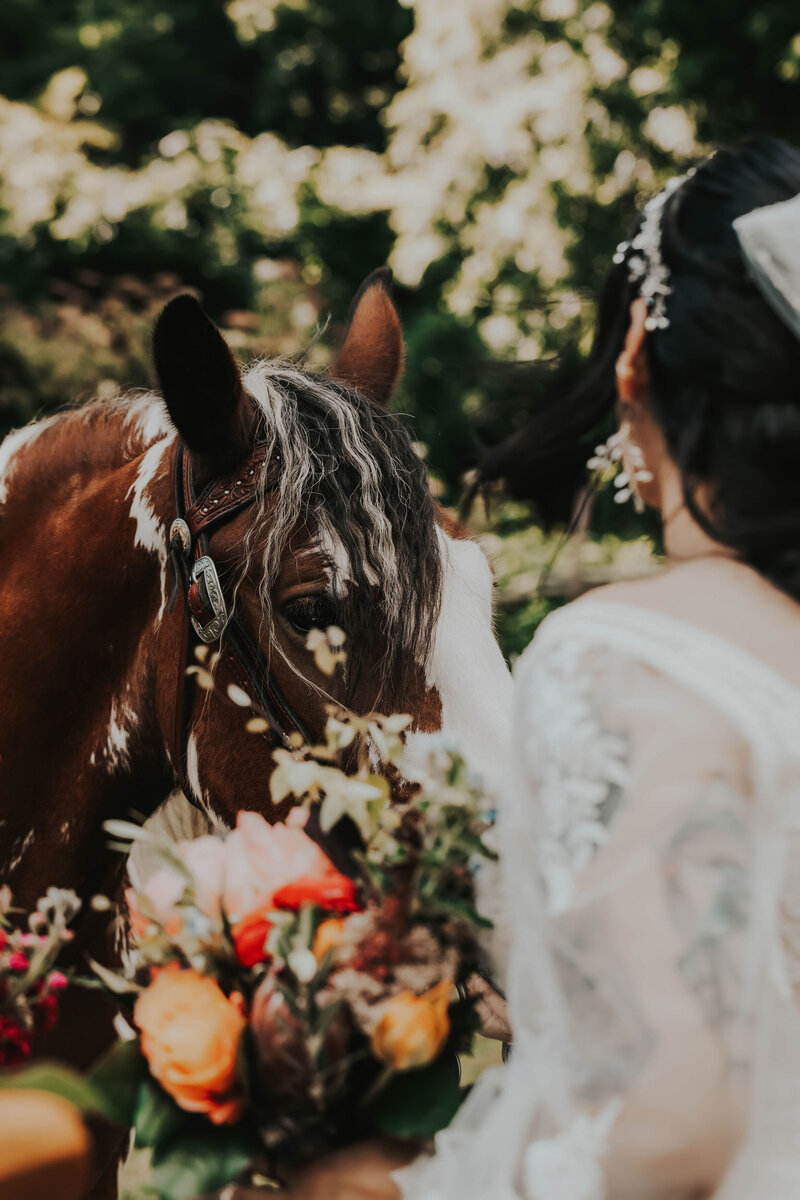 asheville elopement photographer