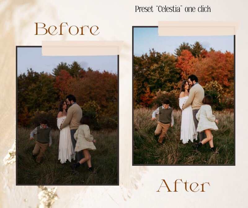 lightroom presets