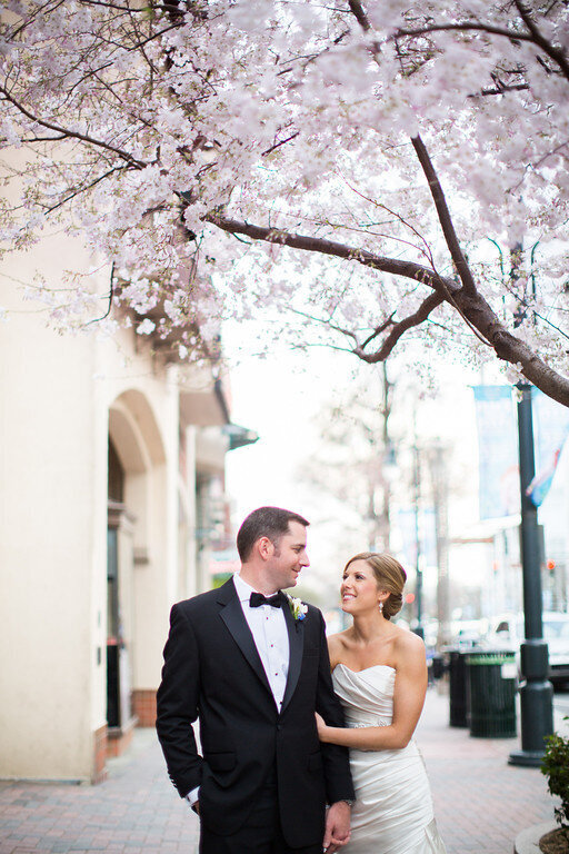 Spring wedding couple gazing at each other underneath beautiful blooming cherry blossoms in uptown Charlotte