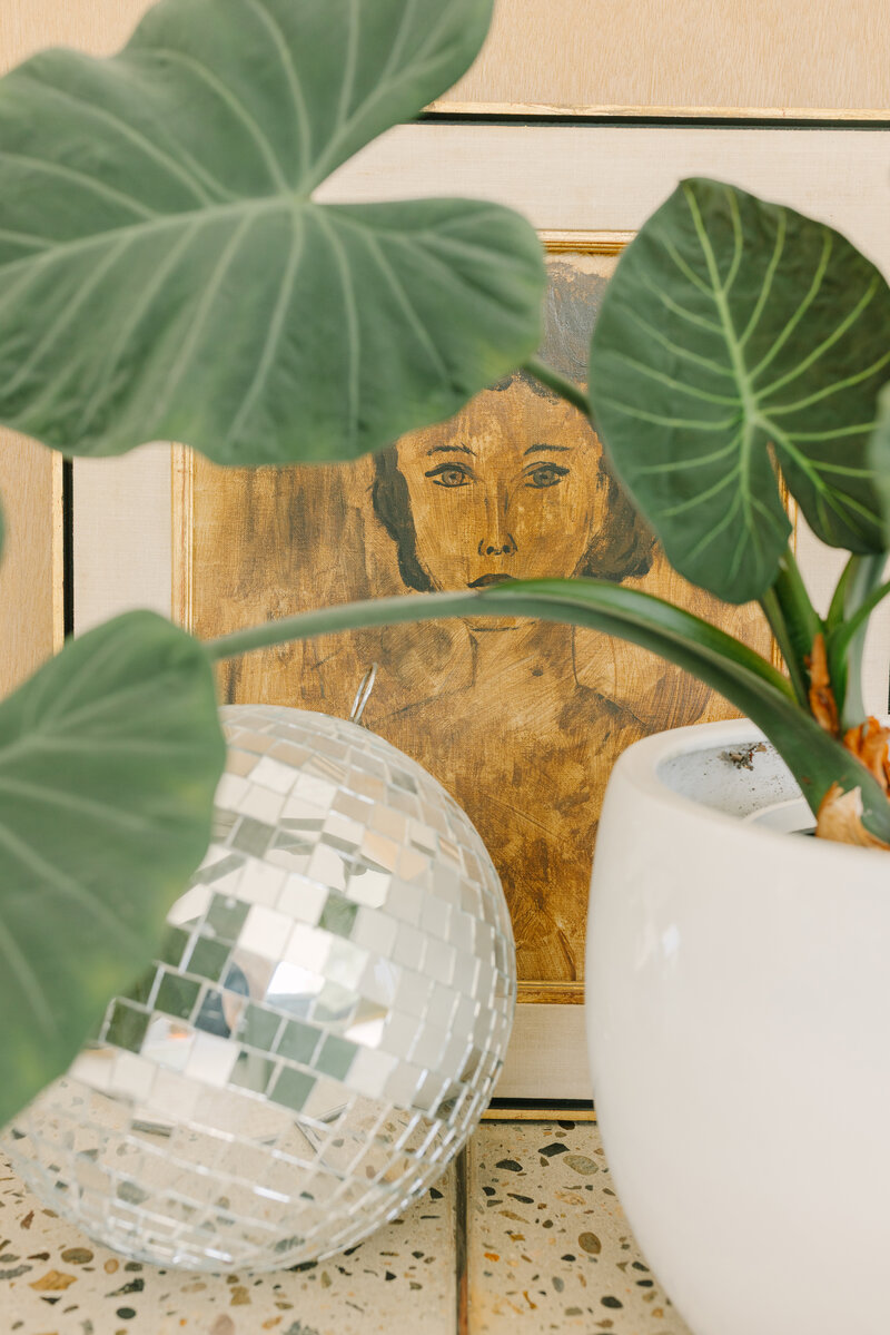 Artistic brand photo featuring a disco ball, leafy plant, and vintage portrait for a retro-modern aesthetic. Greenville SC. Dani Lacey Photographs.
