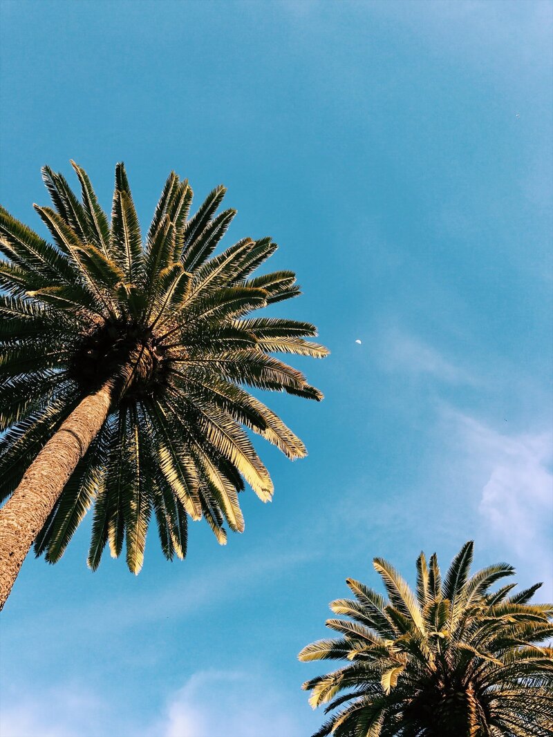 caleb-stokes-jnHc3JH66Rw-unsplash