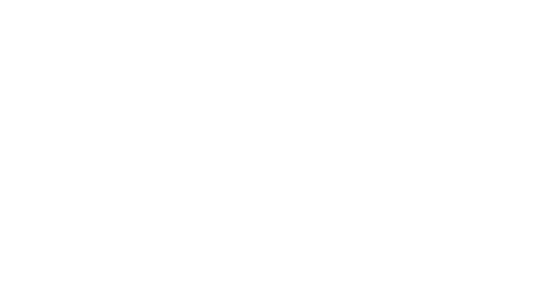 birdlogo4-08