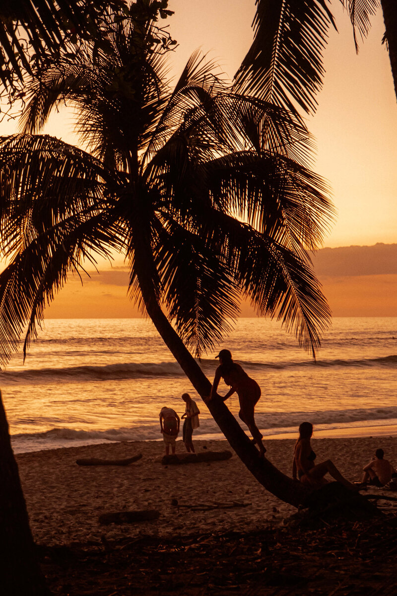 Girl climbing palm tree at sunset
