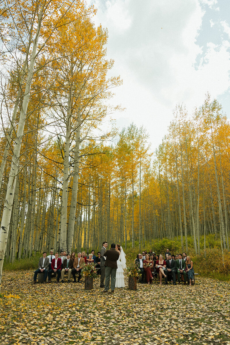 colorado-luxury-backyard-wedding