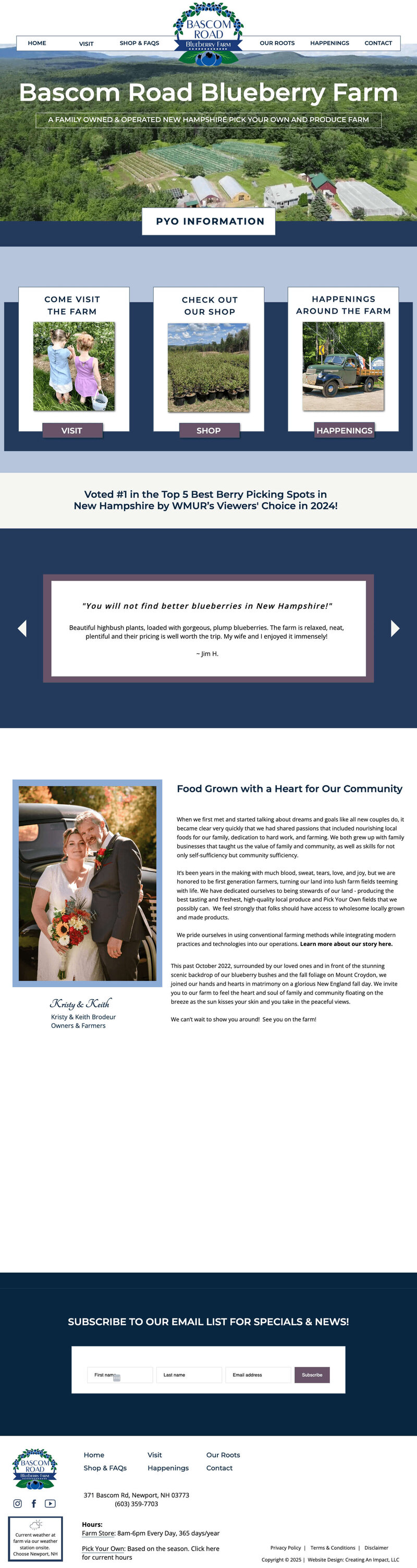 Bascom Road Blueberry Farm above the fold homepage screenshot mockup on mac