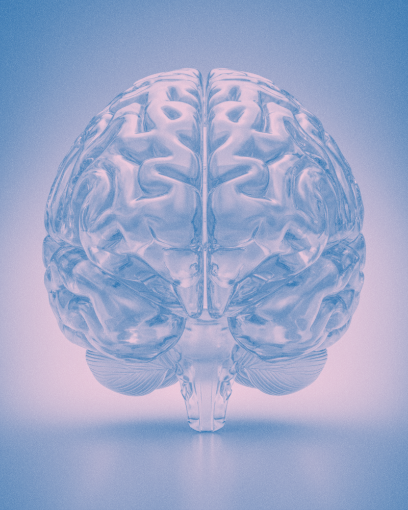 a glass brain in the color or blue, white and a hue of pink