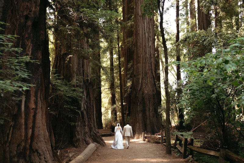 Couple holding hands facing each other under Madison Falls in Olympic National Park