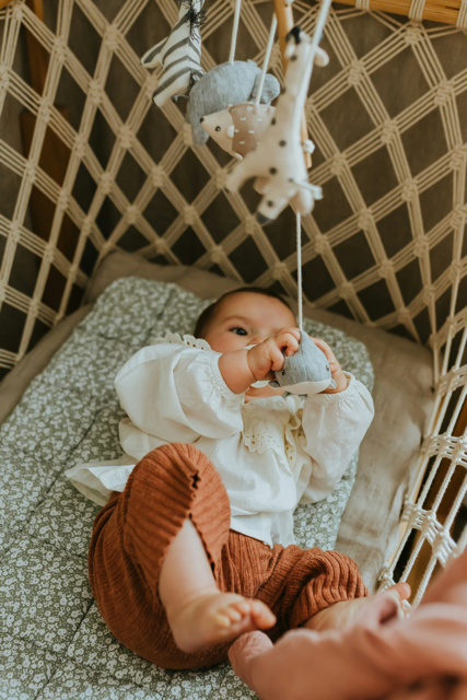 daiga-ellaby-3We1CaYwe9k-unsplash Medium