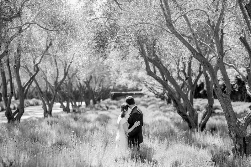 Bride embraces her groom from behind in the hills in San Luis Obispo