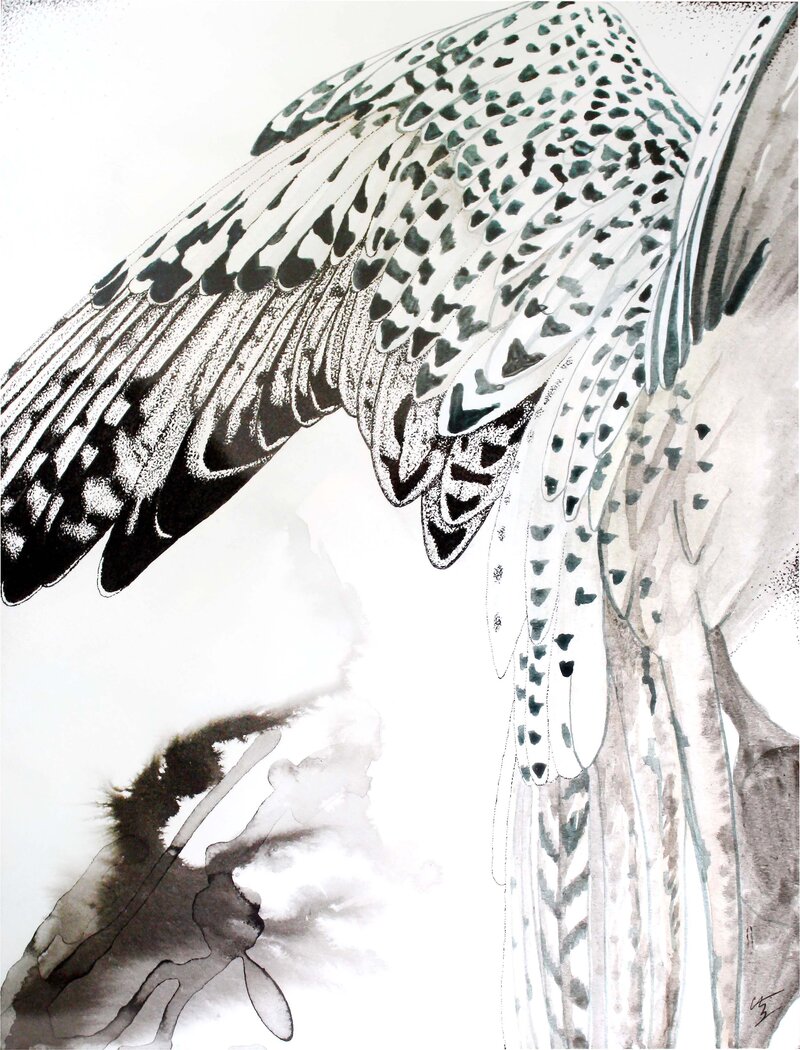 Surreal collage of mixed media art, including feathers, birds, murmurations, and abstract organic patterns